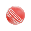 Cricket Ball Icon